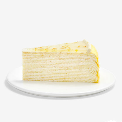 Osmanthus Mille Crêpes - 9 inches